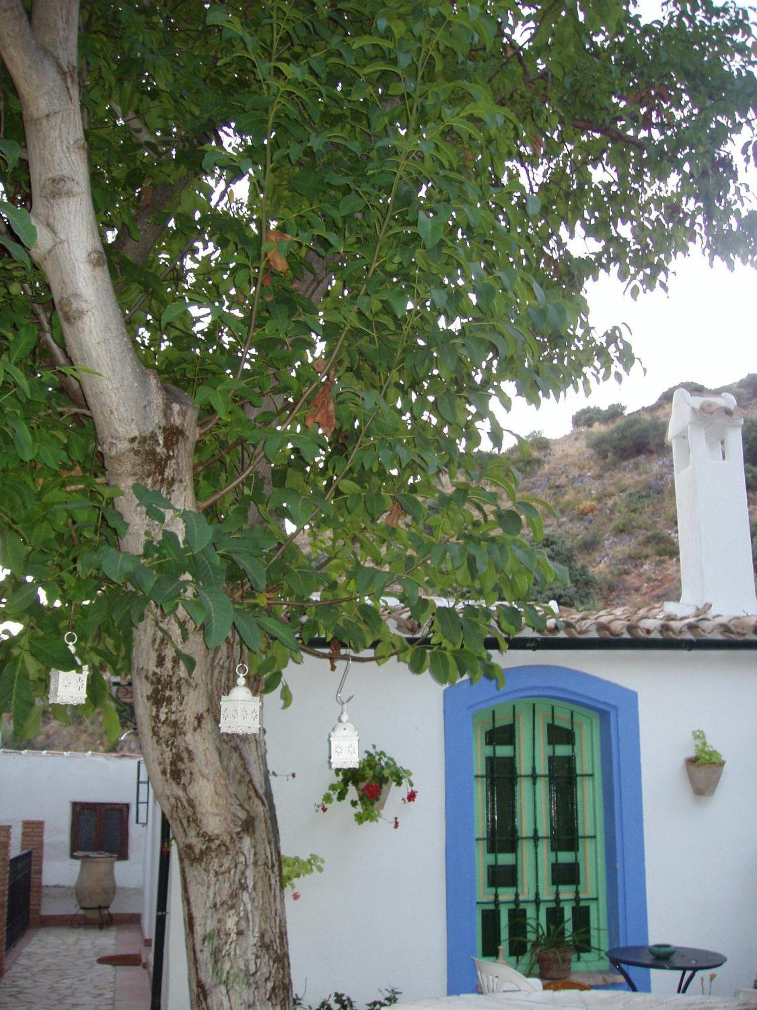 El Rincon De Carmen Guest House Rute Exterior foto